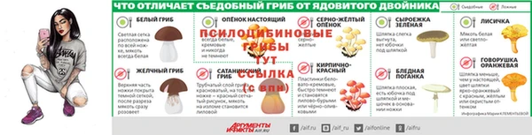 дмт Абаза