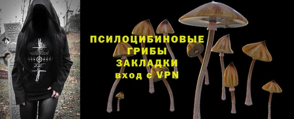 дмт Абаза