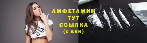 дмт Абаза