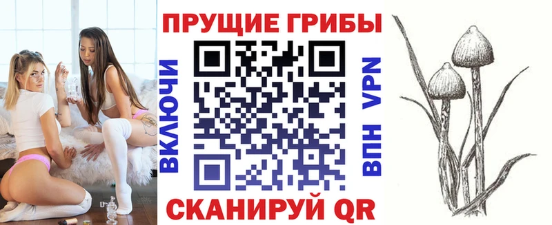 где купить   Тольятти  Псилоцибиновые грибы прущие грибы 